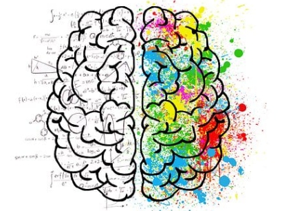 포스파티딜 세린 효능