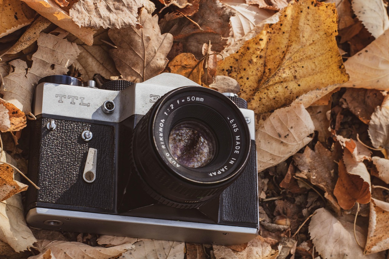 소설 원작 영화 관련