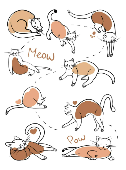 고양이와 함께하는 쾌적한 여름 나기｜에어컨&middot;제습기 활용 꿀팁