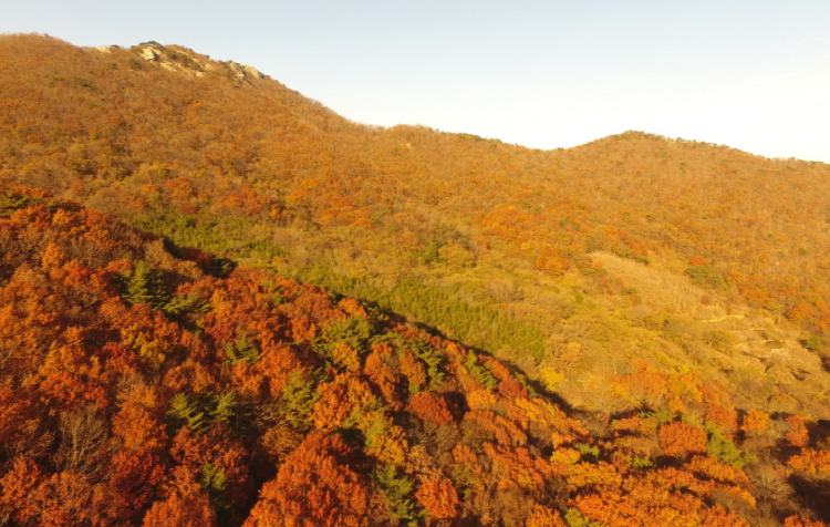 팔영산 자연휴양림