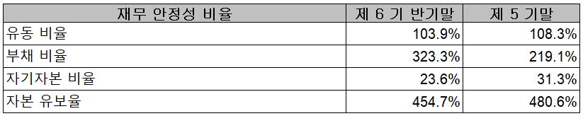 나인테크 - 재무 안정성 비율