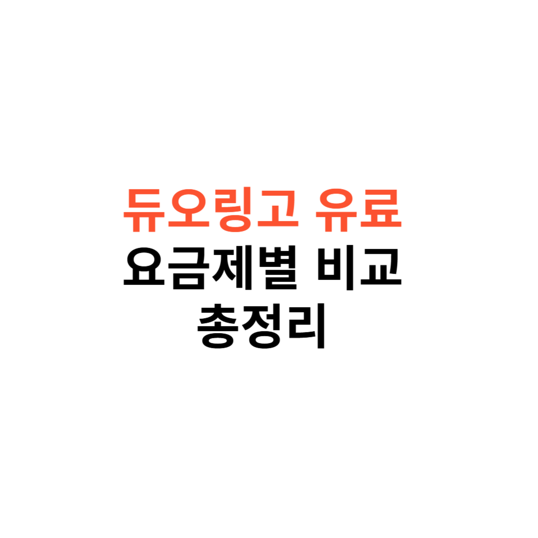 듀오링고 유료 요금제