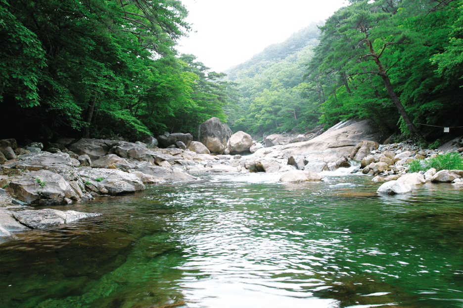 서울근교 아이들과 갈수 있는 계곡 추천 TOP5