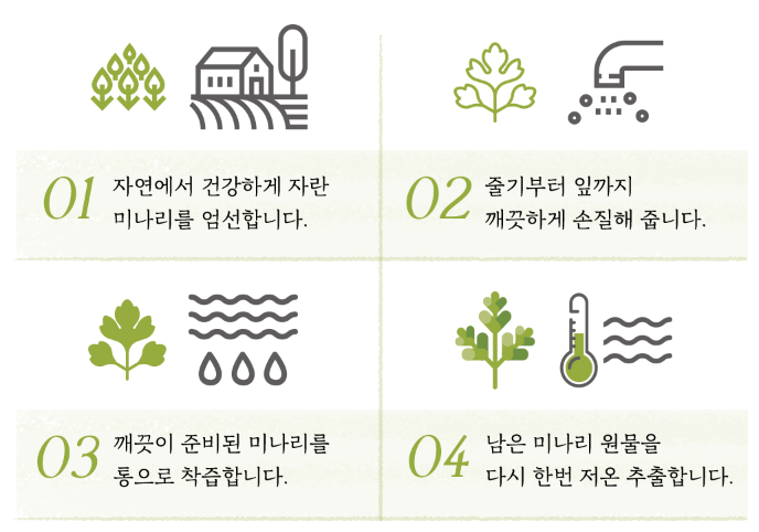스킨푸드할인당근패드