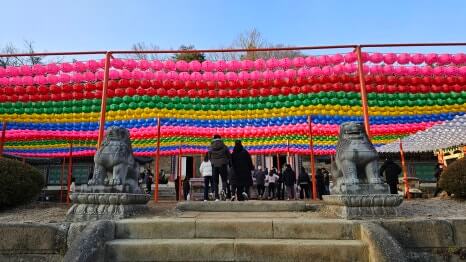 남양주 봉선사 : 광릉 숲의 정기와 세조의 넋이 머무는 천년고찰 광릉 숲 연꽃 힐링