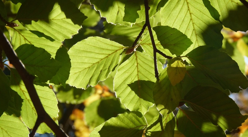 1. 정보처리기사