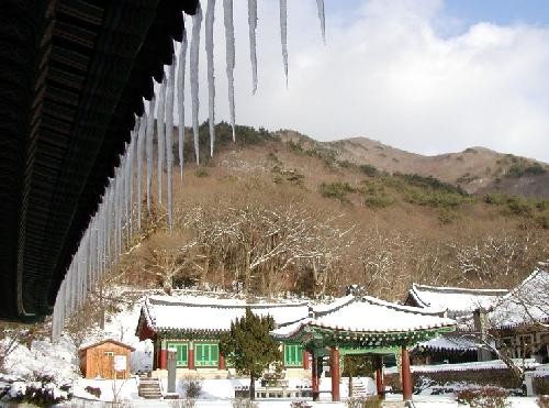 송광사(순천) 이미지