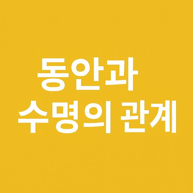 동안이 수명을 늘리는 이유