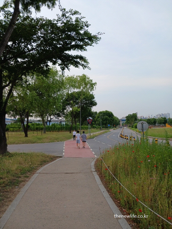 공원 산책로에서 단기간 다이어트를 위해 꾸준히 걷는 사람들