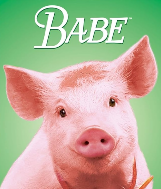 영화 베이브 포스터