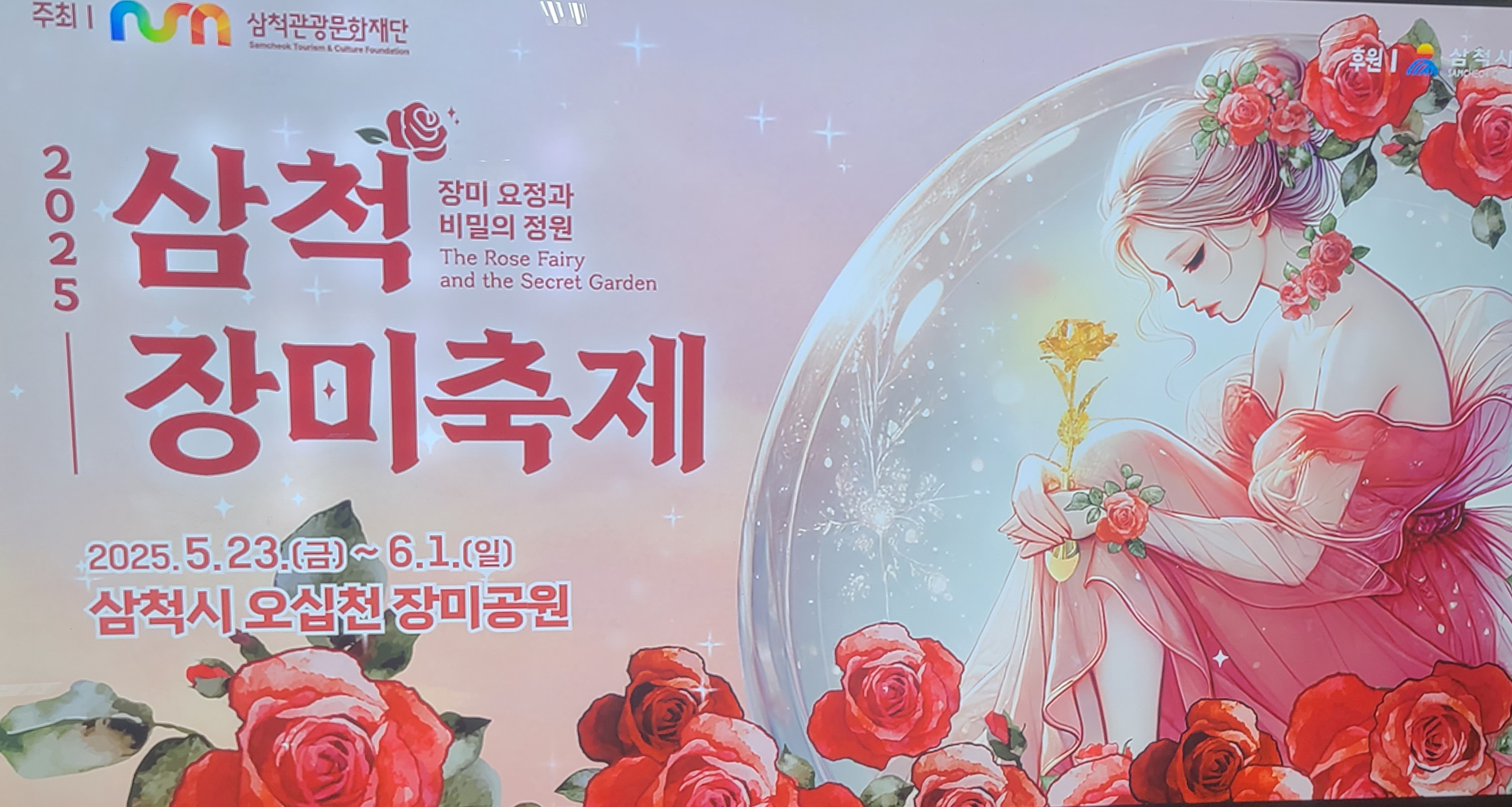 삼척장미 축제 포스터