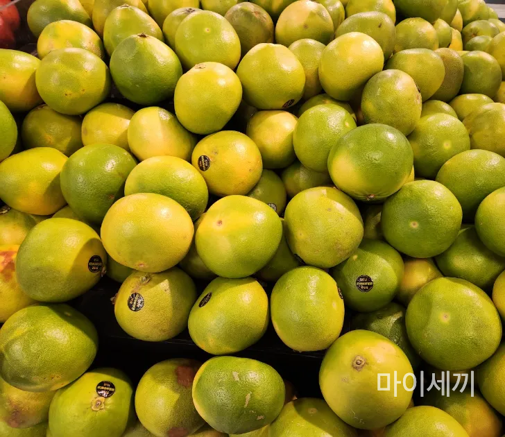 메로골드자몽맛