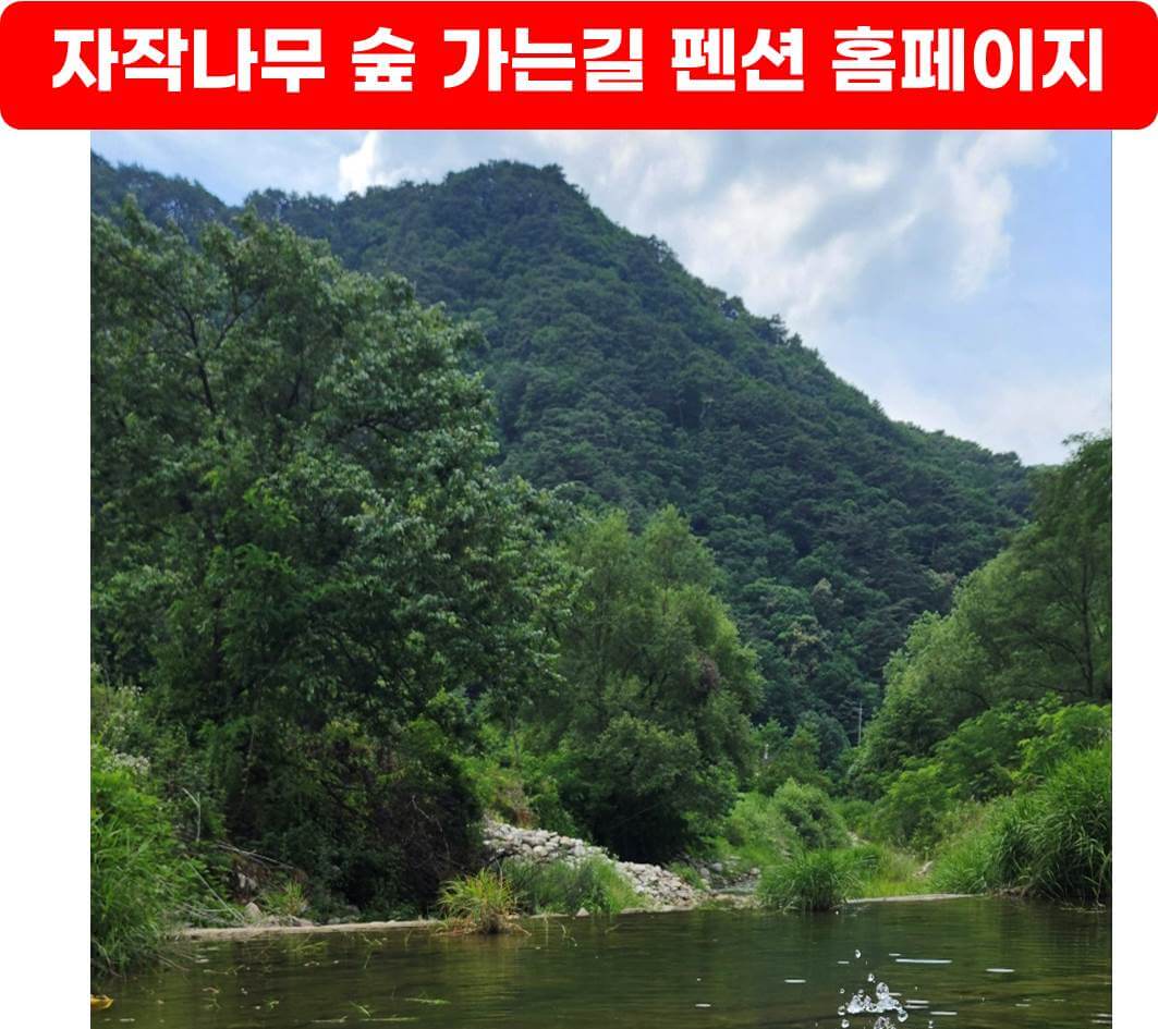 인제펜션, 자작나무 숲 가는 길 펜션