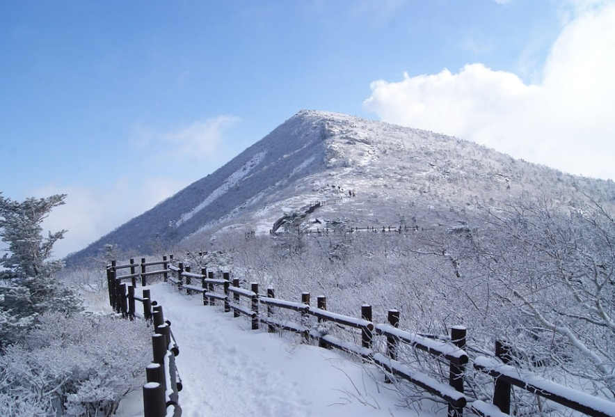 강원도 겨울여행: 설악산, 대관령, 스키장