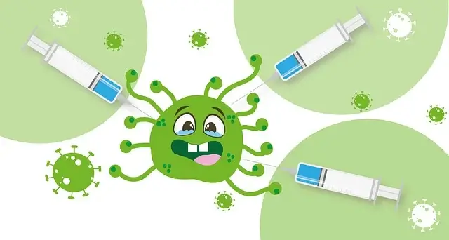 임산부 독감 접종, 괜찮을까? 안전성·비용·부작용·치료까지 한 번에 정리