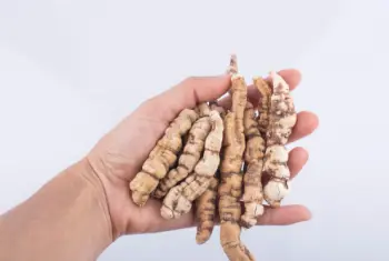 백수오 효능 및 영양성분, 주의점
