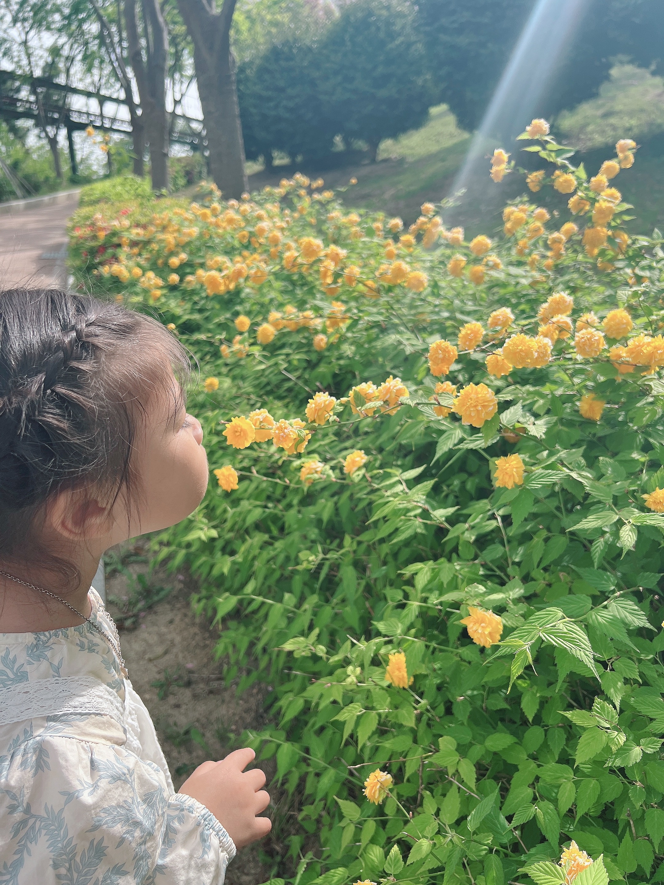 울산 봄꽃