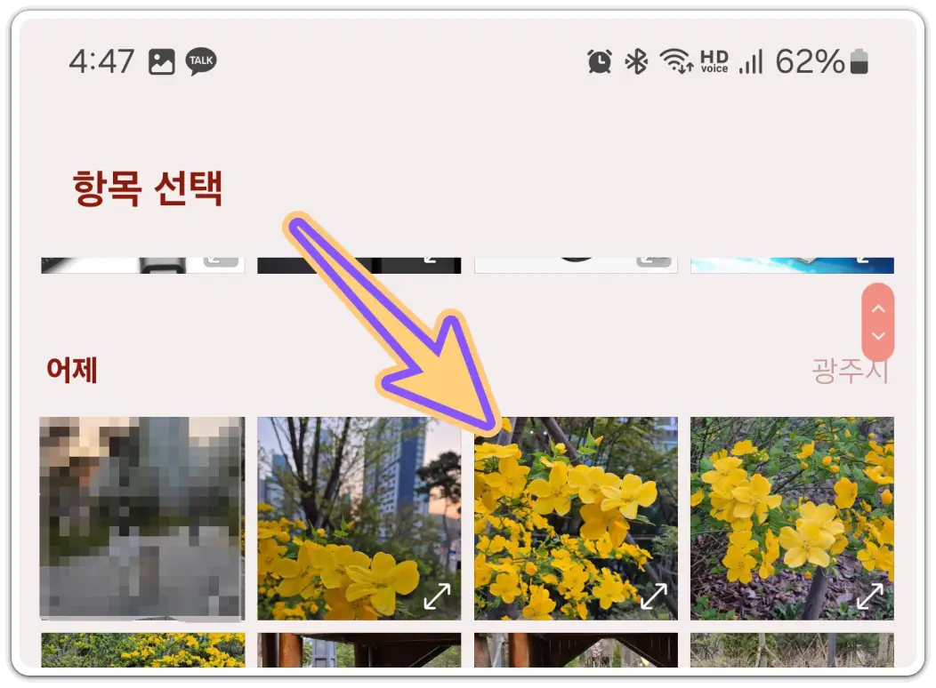 꽃-이름-검색-찾기-방법