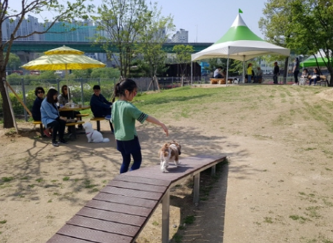 용인 반려견 놀이터