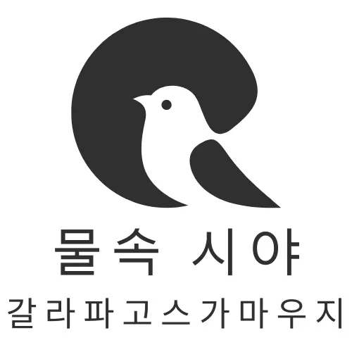 갈라파고스가마우지 물속 시야 활용 방식