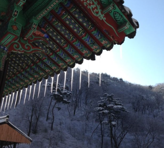 1월 전라북도 가볼만한곳 여행지 ❘ 국내 겨울 명소 추천 ❘ 전라도 ❘ 데이트 가족 실내 나들이