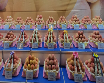 조치원 복숭아 축제_14