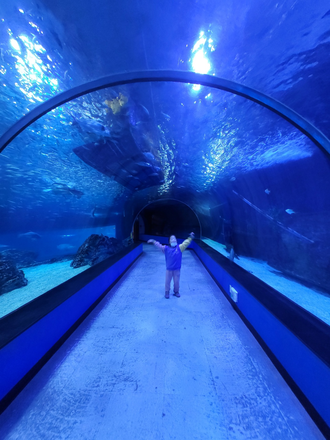 부산 아쿠아리움