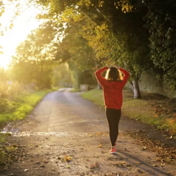 기대수명 자동 계산기 이란