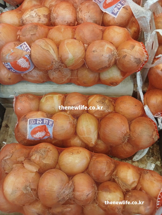 당뇨에 좋은 음식 단단한 껍질의 붉은 양파 실물 사진