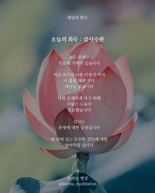 환희지의 보리수 명상 : Day 8 화두 : 감사수련