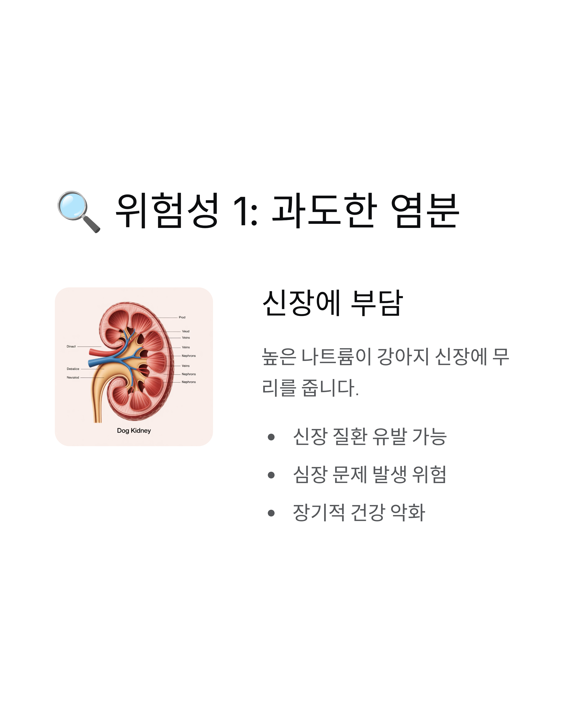 강아지 새우깡 먹어도 될까? 꼭 알아야 할 5가지 진실