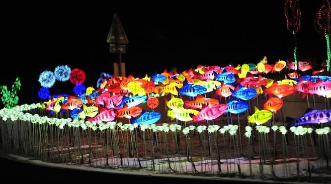 체험 프로그램 안내 및 가격