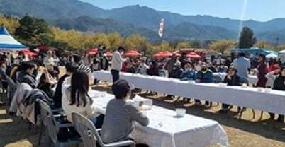 구례 산수유축제