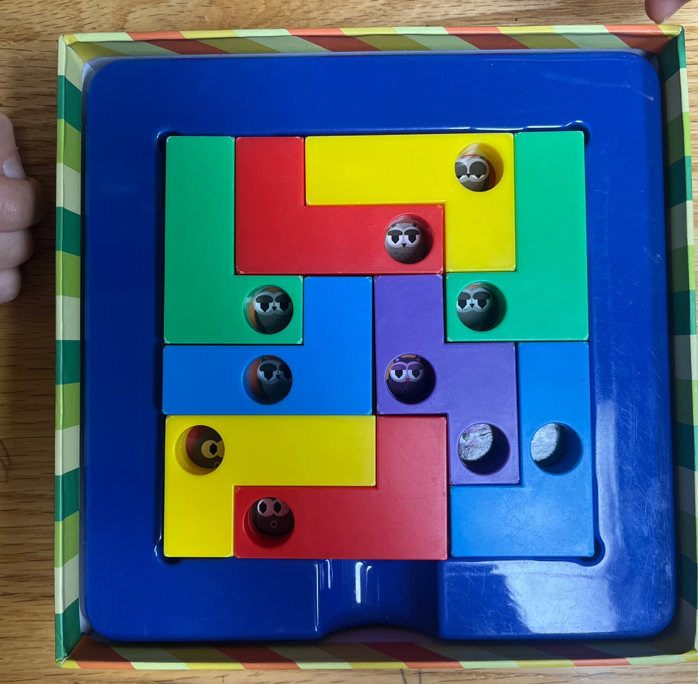 코잉스 35단계 완성