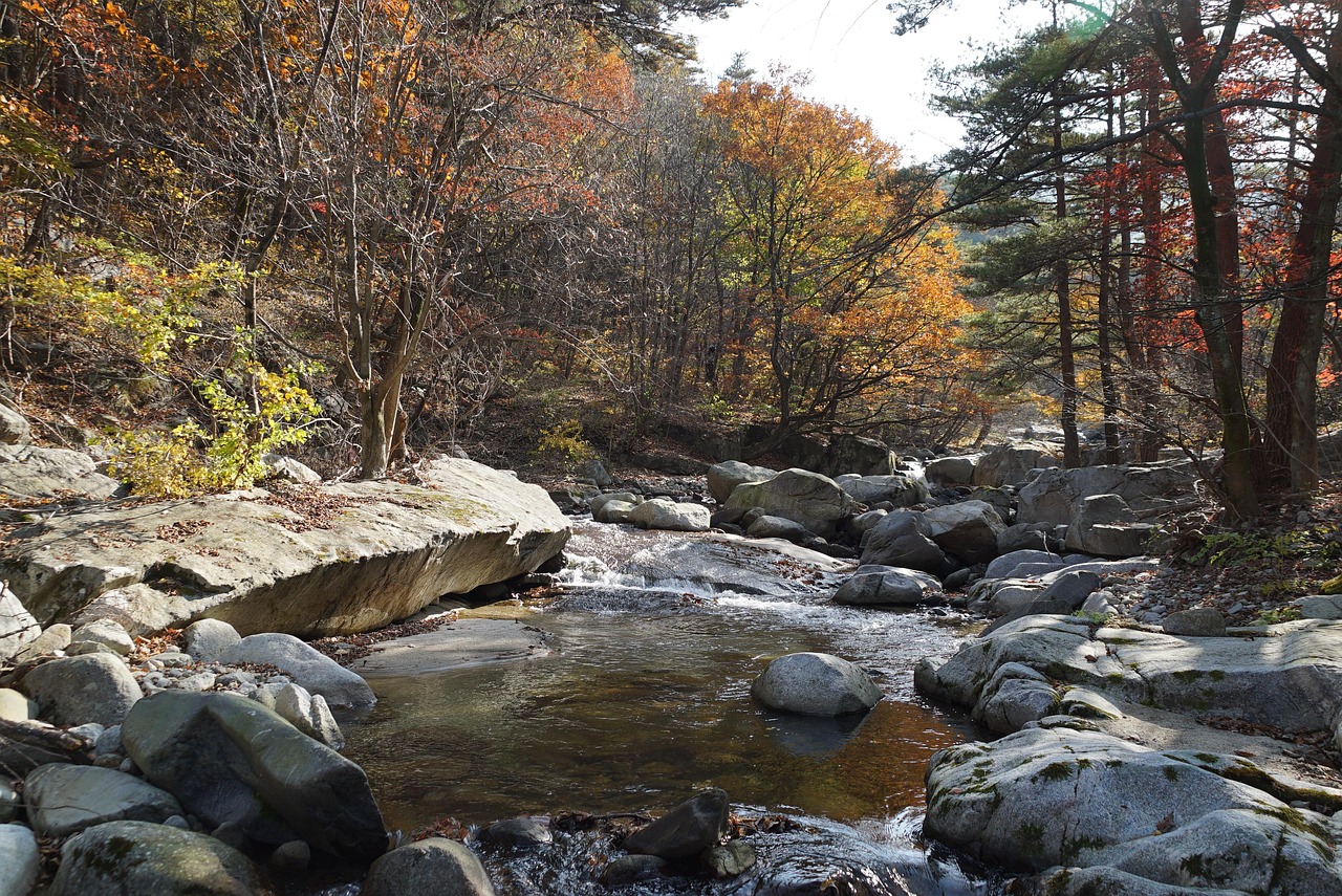 강원도 철원 한탄강 협곡