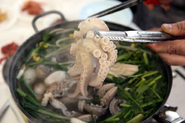 서천 동백꽃 주꾸미 축제 기간