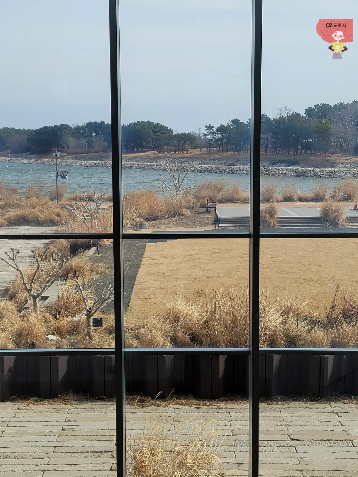 인천-중구-영종도-네스트호텔-쿤스트라운지-창가에서-바라본-바다-갈대-밭-소나무-숲