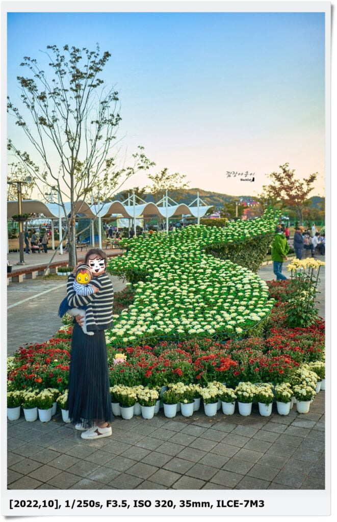 양산국화축제 국화로 만든 대한민국 지도 조형물