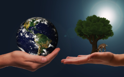 제로 웨이스트의 미래와 지속 가능성