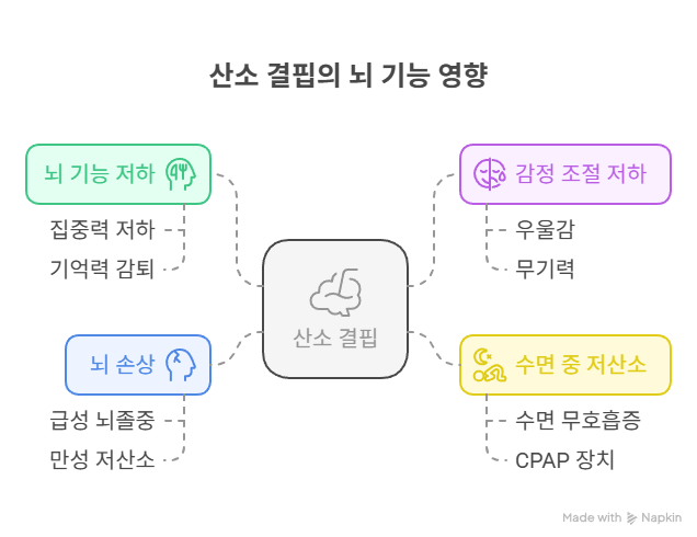 산소 결핍의 뇌 기능 영향