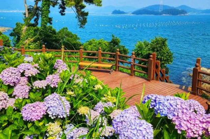 경상권 수국명소 추천 7곳, 여름의 정취를 만끽할 수 있는 곳