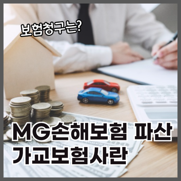 MG손해보험파산