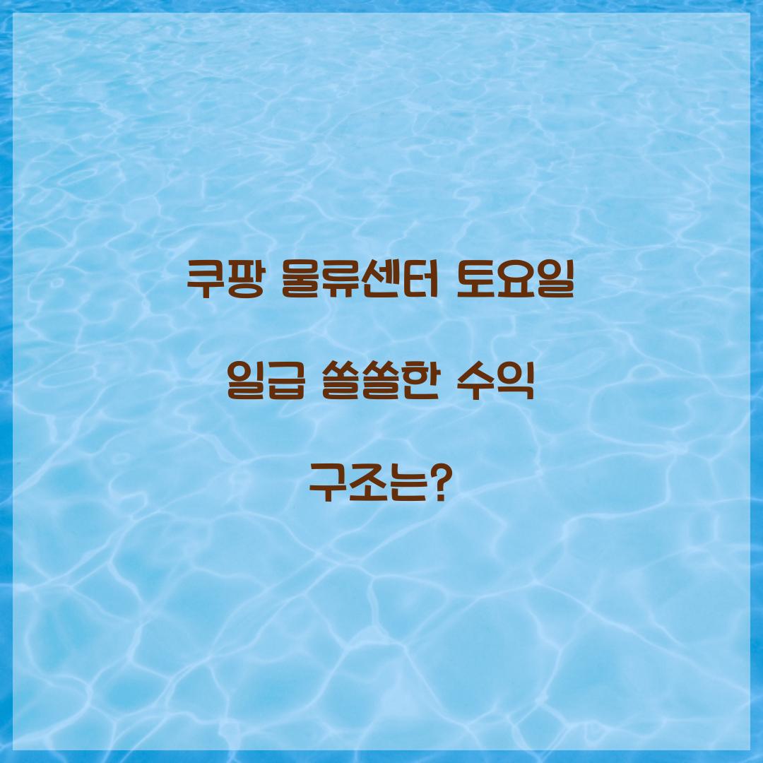 쿠팡 물류센터 토요일 일급