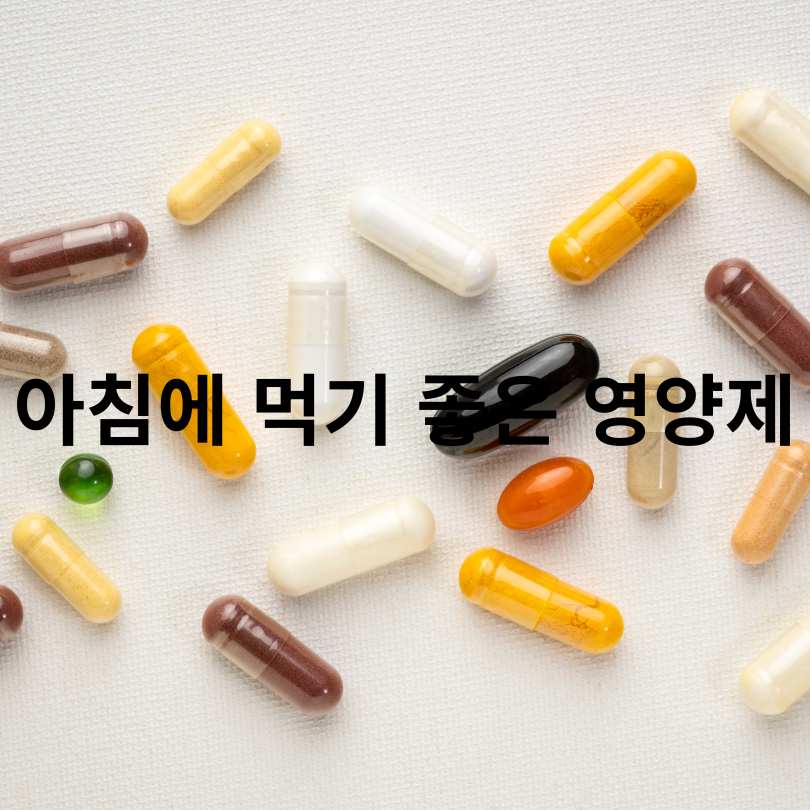 영양제 먹는 순서와 시간