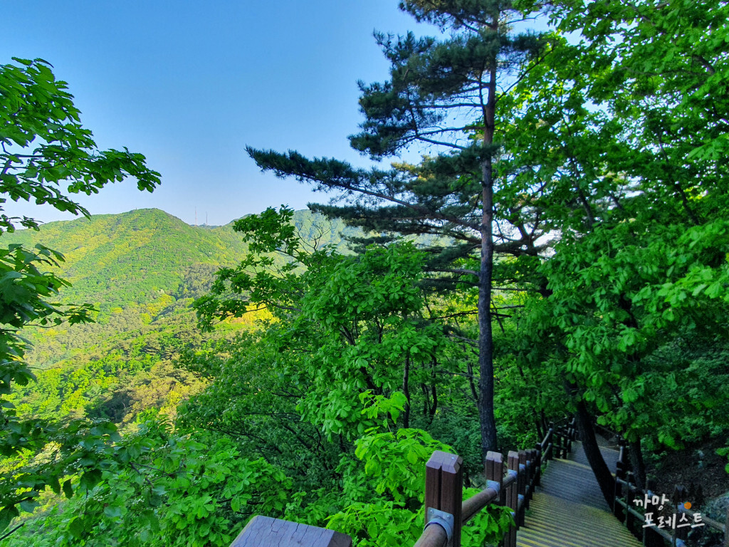 광교산 종루봉 산행