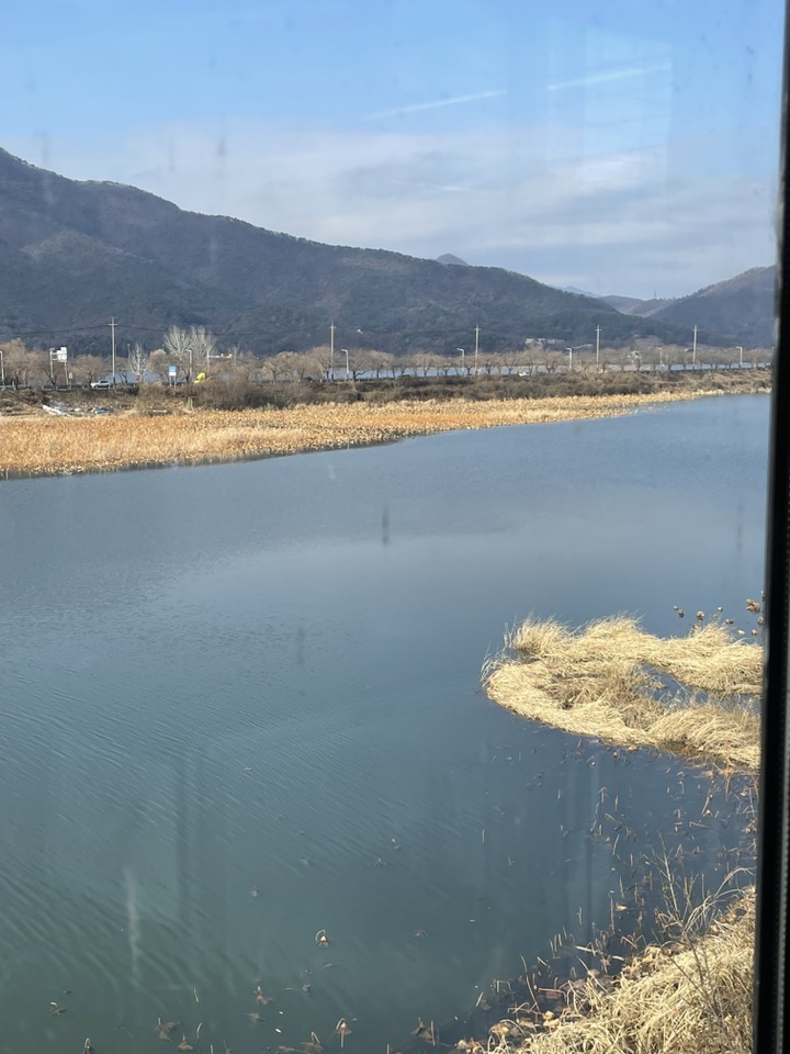 두물머리 맛집 연꽃언덕