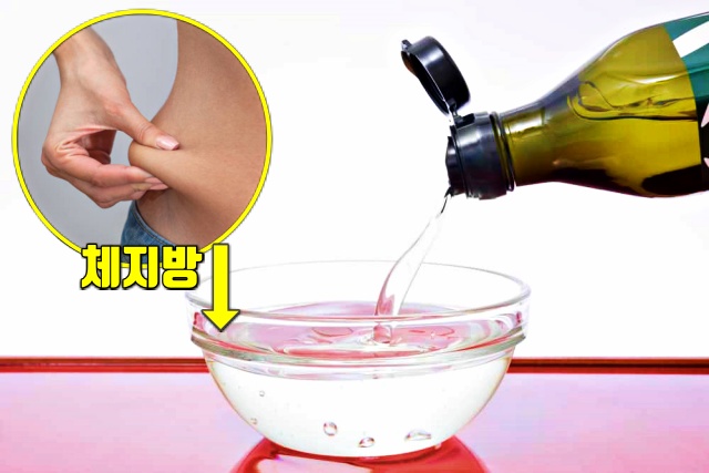 MCT오일 효능, 체지방 빼는 식단, 체지방 분해 식품, 다이어트 피트니스 건강, 팁줌 매일꿀정보