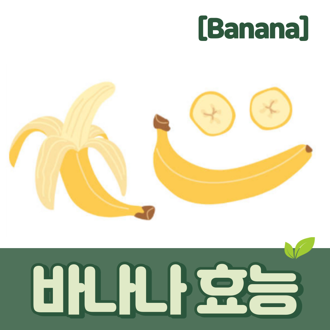 바나나 효능