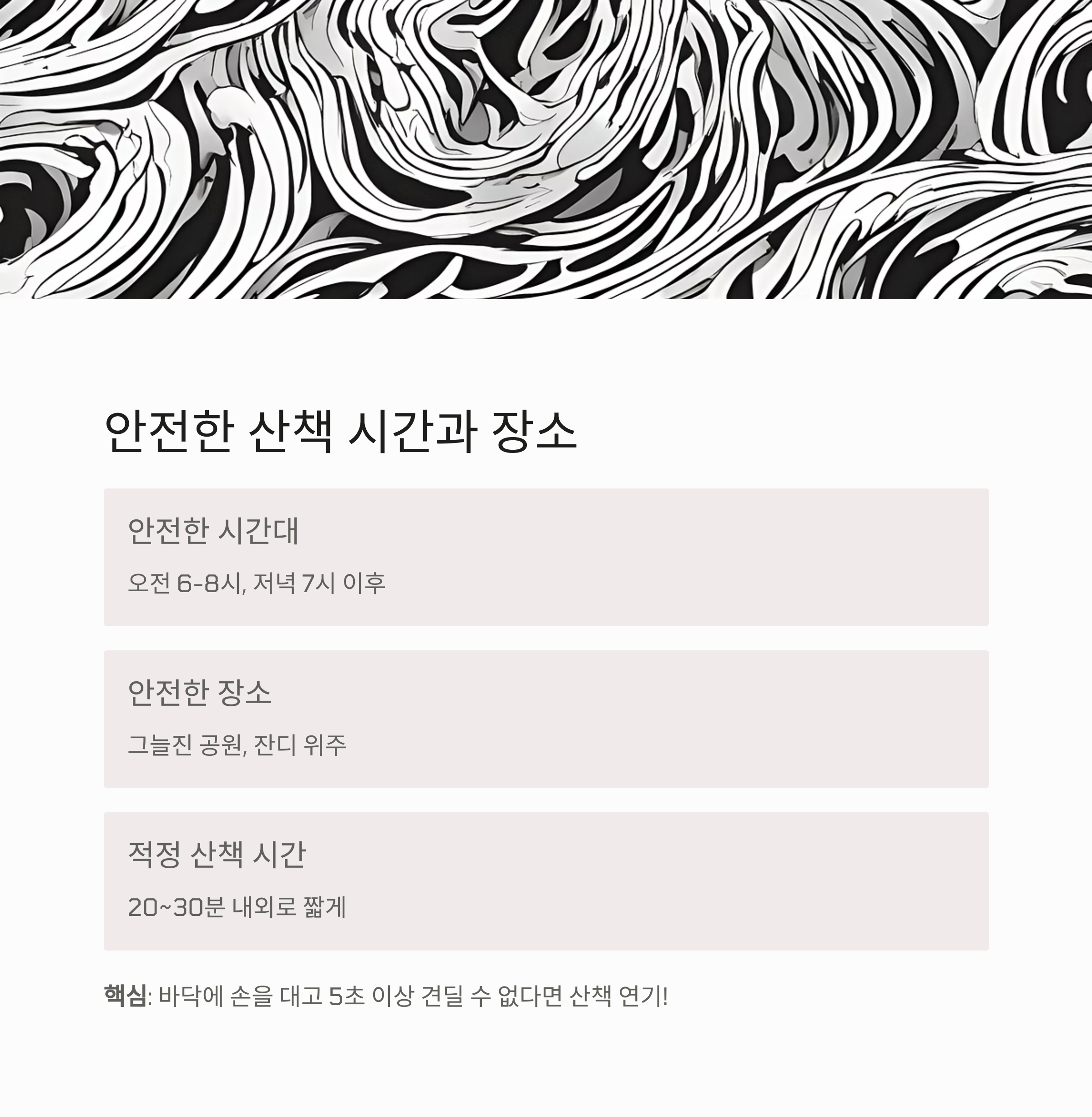 안전한 산책 시간과 장소