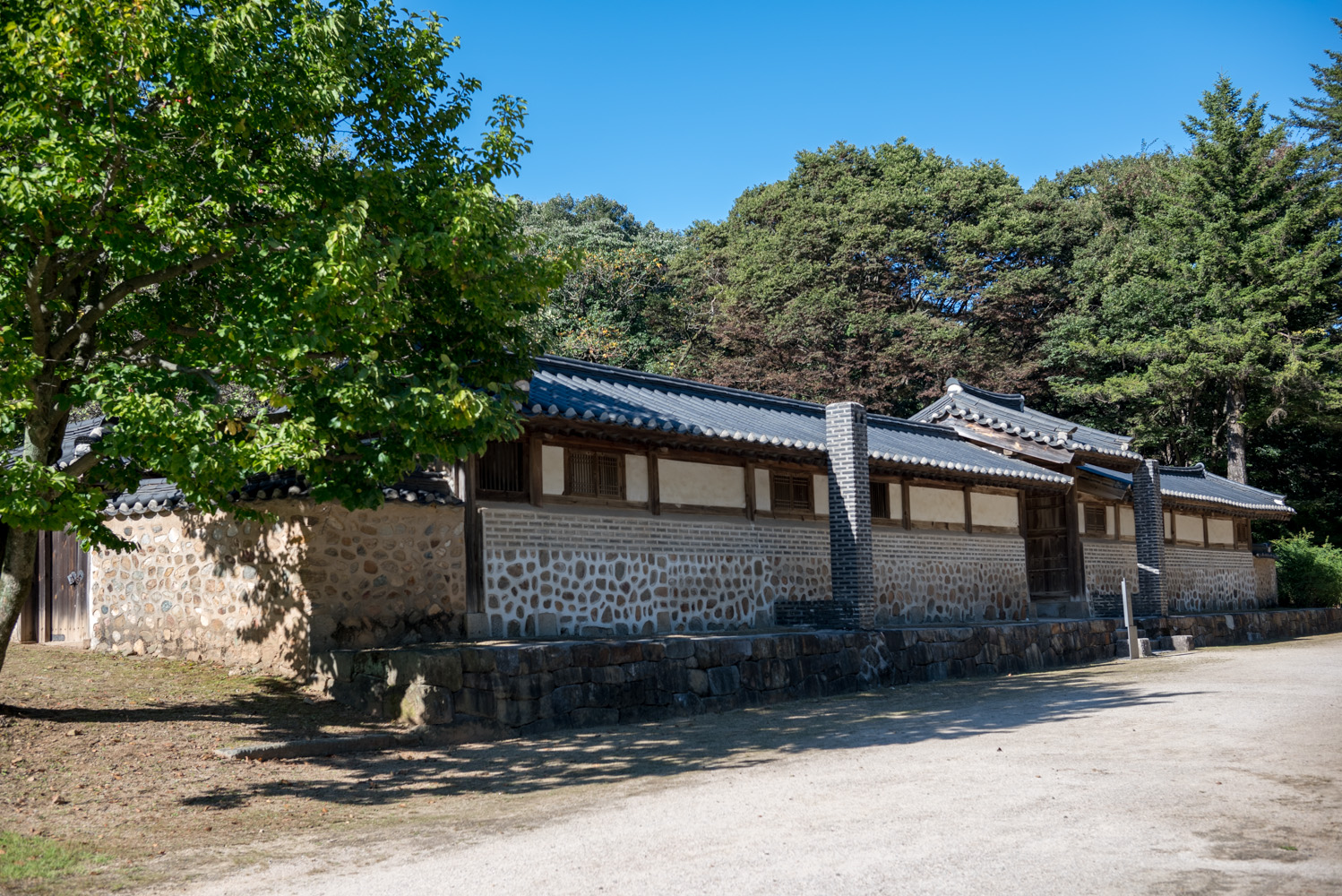 파주 삼릉
